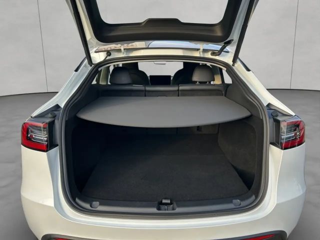 Tesla Model Y AWD Dual Motor Performance