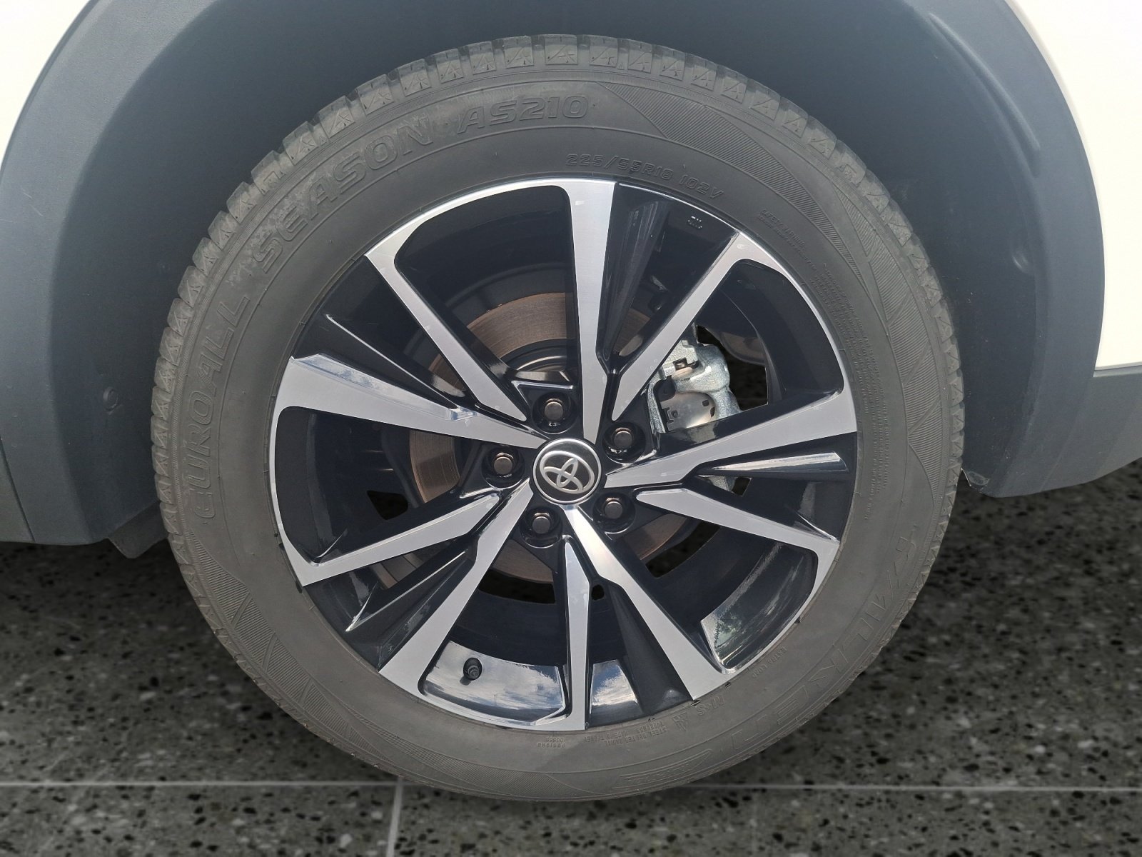 Toyota C-HR 5-deurs Team D