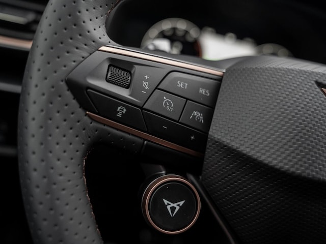 Cupra Formentor 2.0 TSI 4Drive DSG