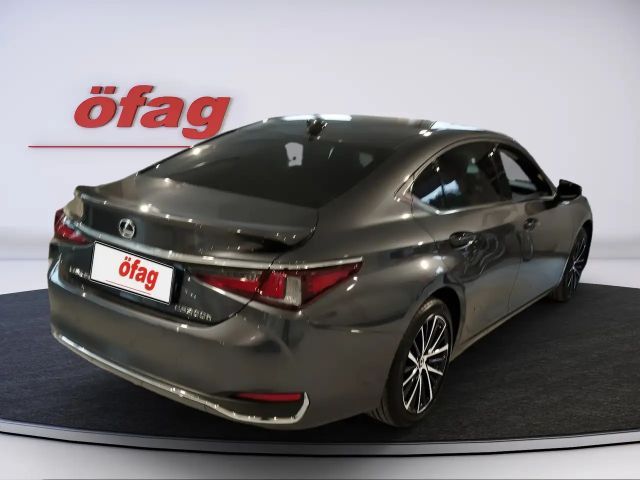 Lexus ES Business Line