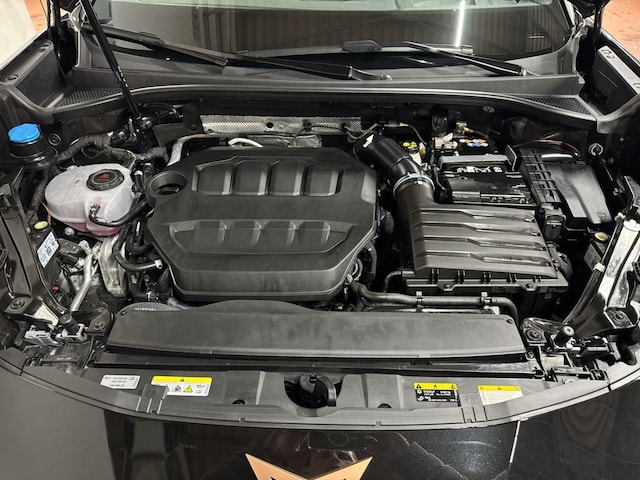 Cupra Terramar 2.0 TSI VZ