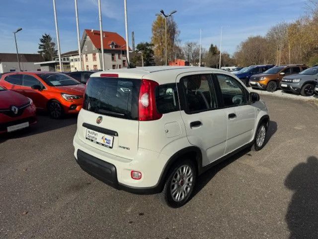Fiat Panda Base, Mild Hybrid, Klima, DAB+