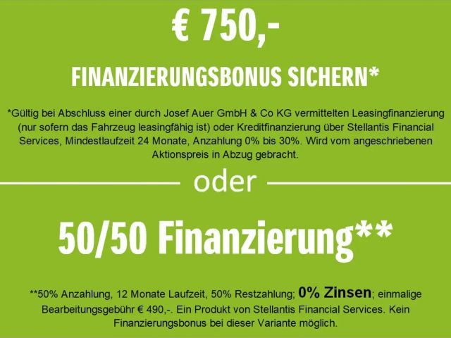 Opel Combo Combo 1,5 CDTI | AudioPack | PDC | netto 13.325,-