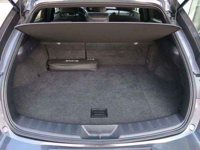 Lexus UX 250h Style Edition