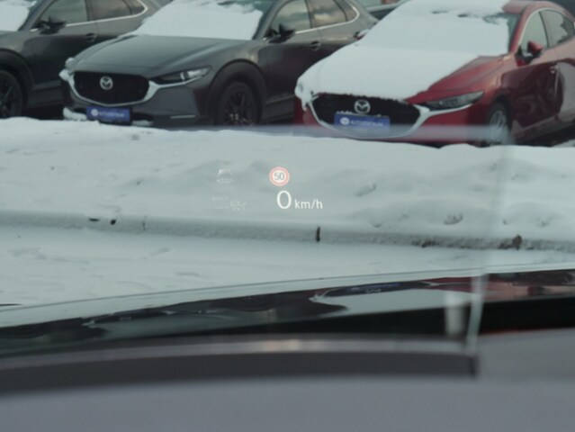 Volkswagen Tiguan 2.0 TSI DSG