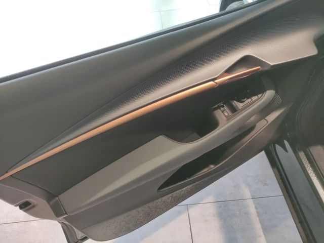 Cupra Tavascan Endurance