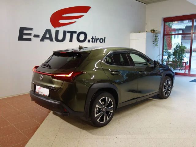 Lexus UX 250h