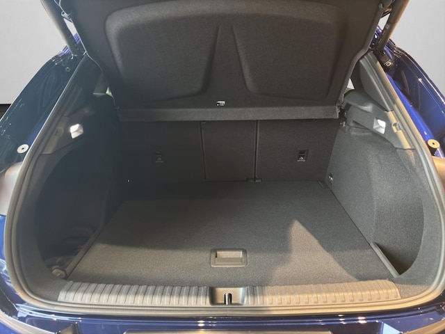 Cupra Terramar 2.0 TSI VZ