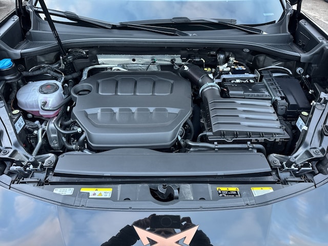 Cupra Terramar 2.0 TSI VZ