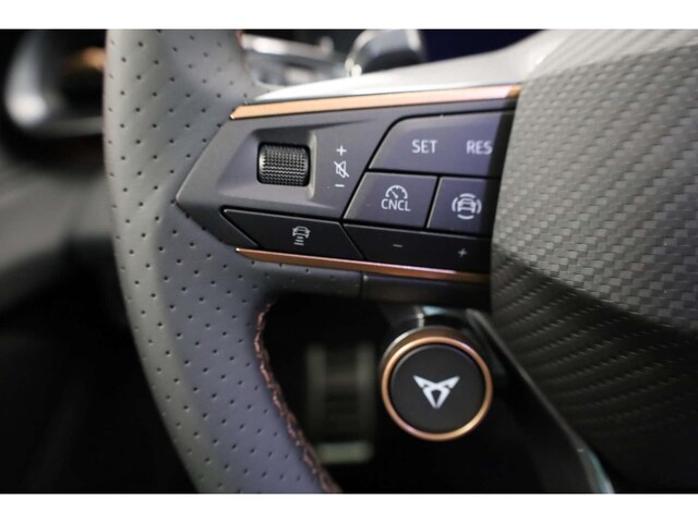 Cupra Terramar 2.0 TSI VZ