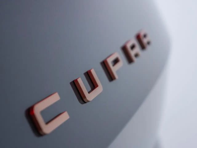Cupra Formentor CUPRA 1.5 eTSI 110 kW Automatik Kamera Navi (101)