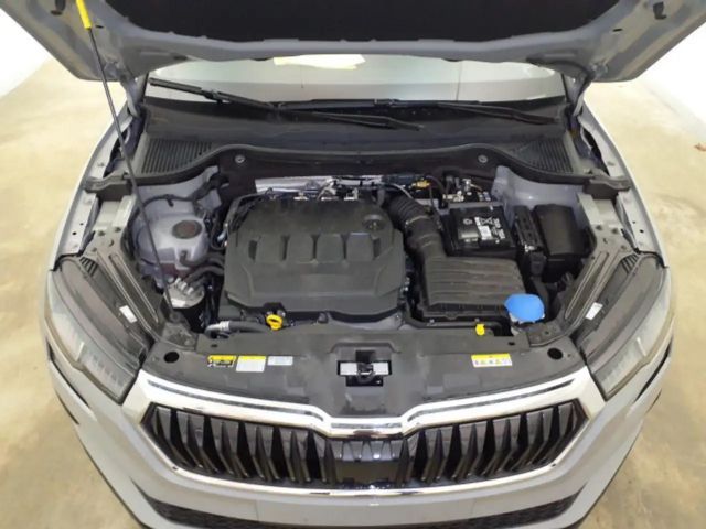 Skoda Karoq 2.0 TDI Selection