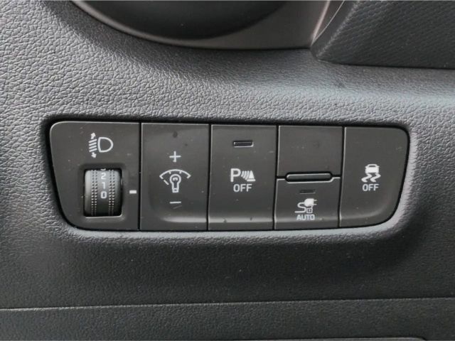 Hyundai Kona Edition 30+*Navi KRELL R-Kam Tempo