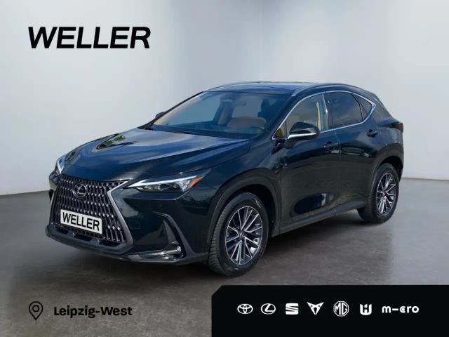 Lexus NX Executive Line