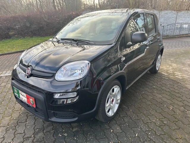 Fiat Panda Pandy Hybrid 1,0 GSE 70 PS Base