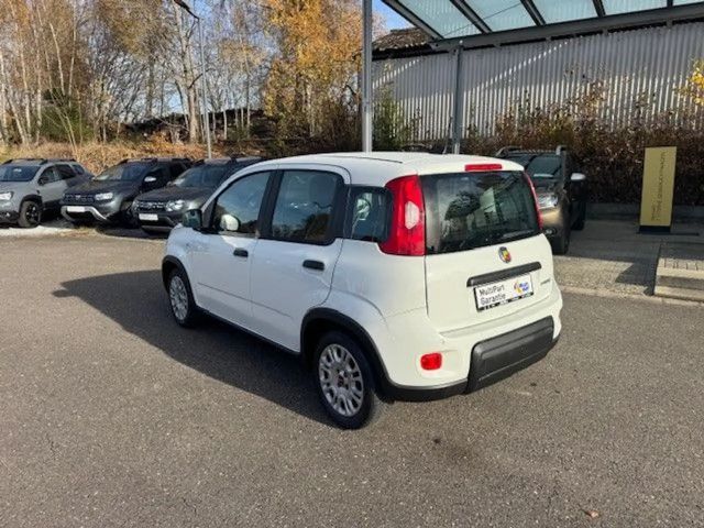 Fiat Panda Base, Mild Hybrid, Klima, DAB+