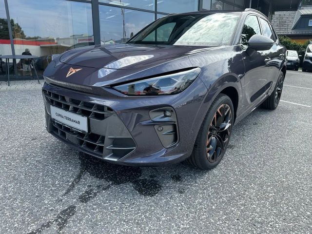 Cupra Terramar 2.0 TSI