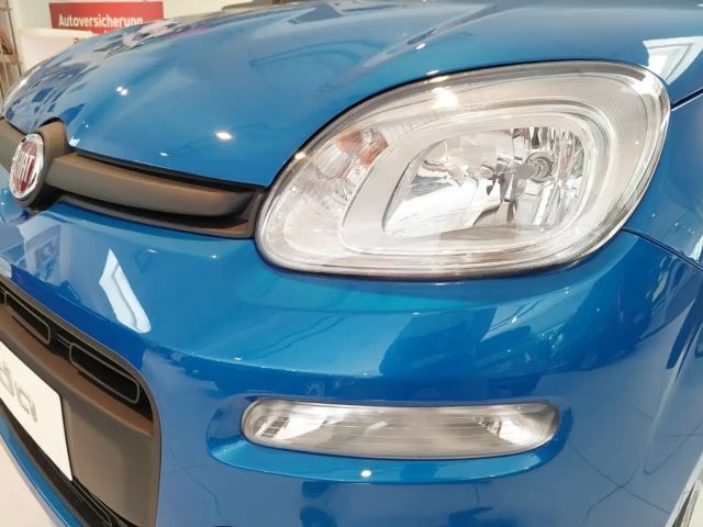 Fiat Panda Panda
