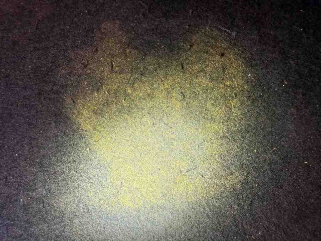 Volkswagen Taigo 1.0 TSI