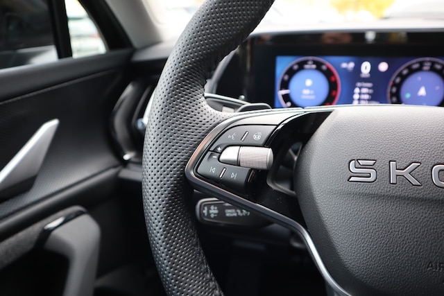 Skoda Kodiaq 2.0 TDI 4x4 Selection