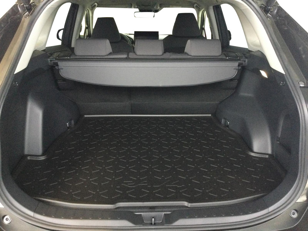 Toyota RAV4 5-deurs Team D