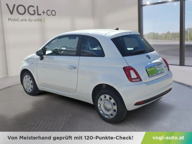 Fiat 500 Cult