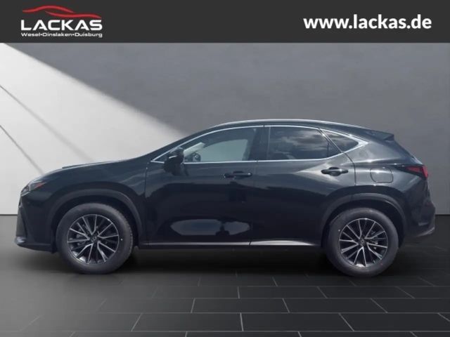 Lexus NX Executive Line