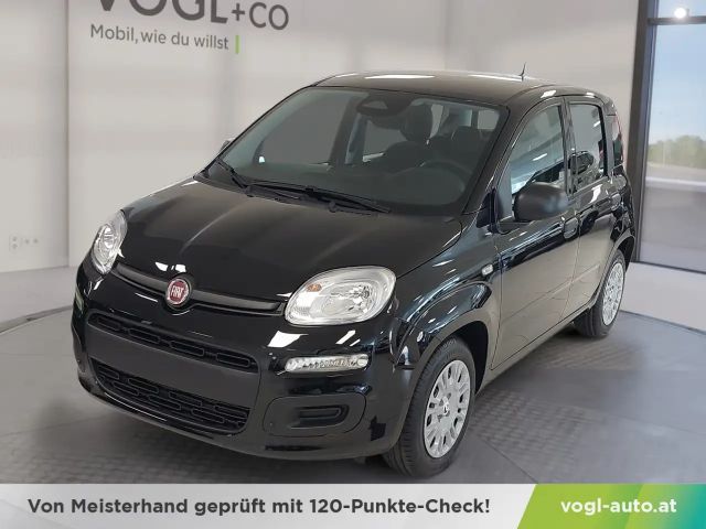 Fiat Panda Panda