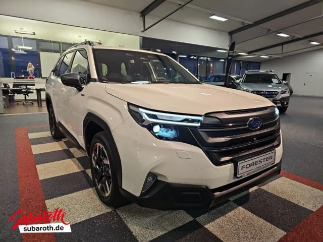 Subaru Forester Exclusive