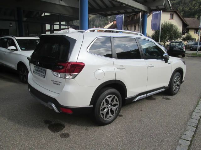 Subaru Forester Active
