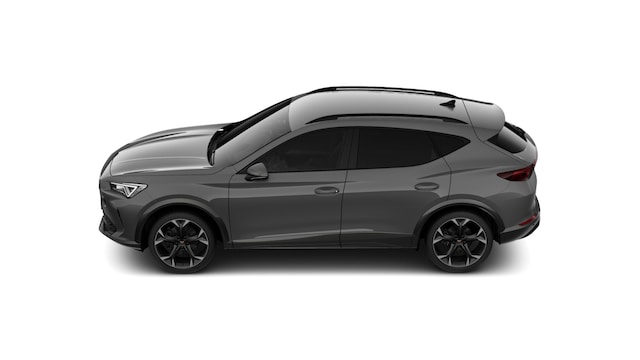 Cupra Formentor Formentor 2.0 TDI Automatik Kamera LED UVM