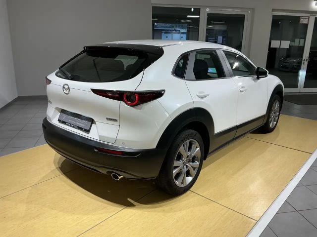 Mazda CX-30 150 PS Automatik*SHZ*LHZ*Head-UP