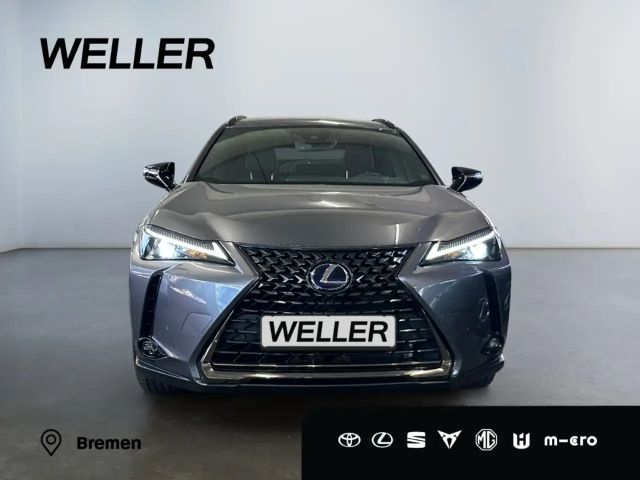 Lexus UX 250h