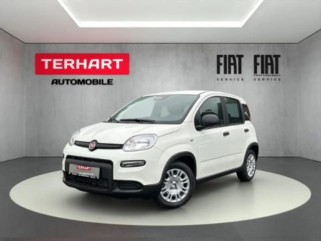 Fiat Panda 1.0 Mild Hybrid/PDC/Start&Stopp/Nebelscheinwerfer