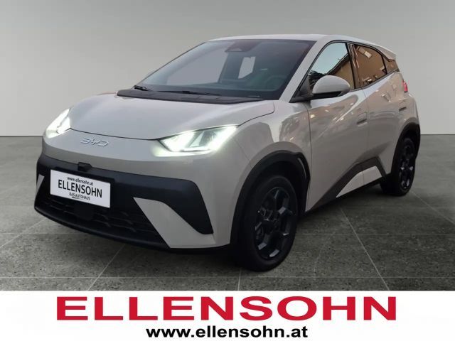 BYD Dolphin Surf Comfort