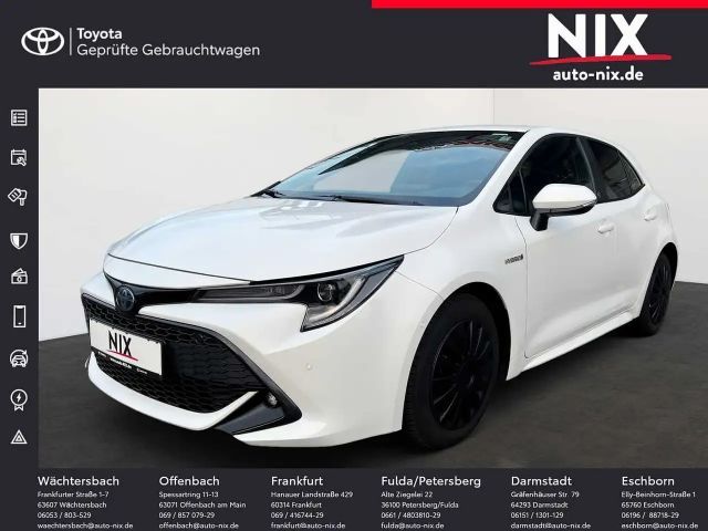 Toyota Corolla Hatchback Team D