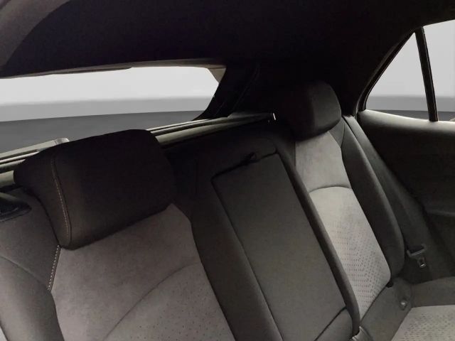 Cupra Born 360 ALLWETTER LM19 PRIVACY SITZHZ