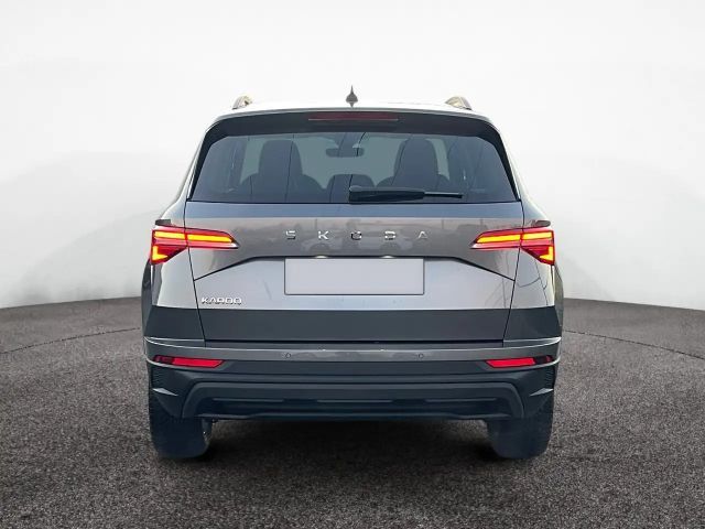 Skoda Karoq Selection