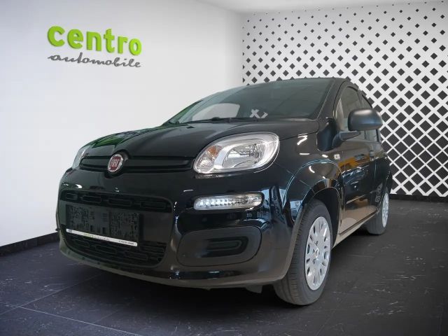 Fiat Panda 4x2