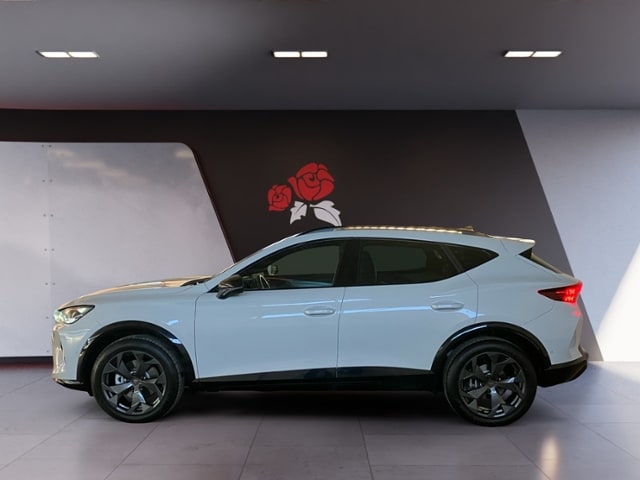 Cupra Formentor 2.0 TSI 4Drive