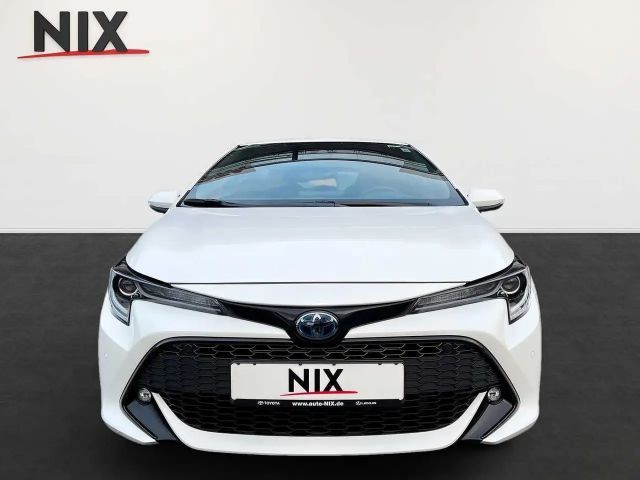 Toyota Corolla Hatchback Team D