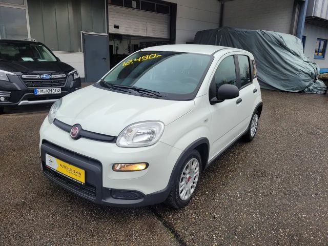 Fiat Panda Base Hybrid 1,0 (sehr gepflegt, 12Monate Garantie)