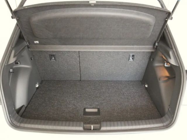 Skoda Fabia Monte Carlo