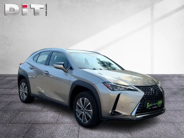Lexus UX Basis Klima Kamera Sitzhzg Tempomat