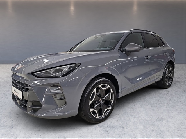 Cupra Terramar 2,0 TSI DSG LED AHK EL-HK RFK SHZ