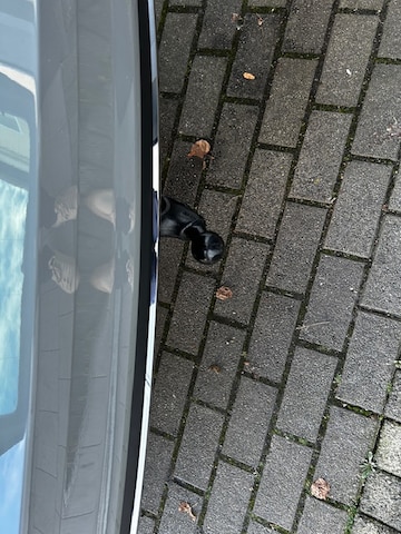 Skoda Karoq Sportline