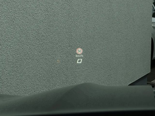 Cupra Terramar 2.0 TSI VZ