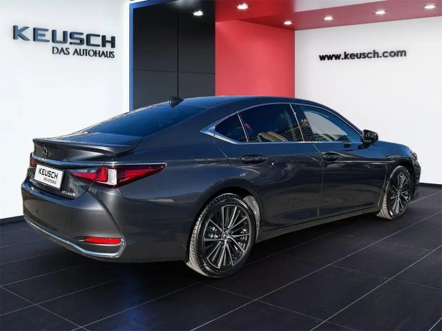 Lexus ES Business Line