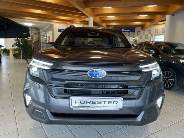 Subaru Forester Exclusive