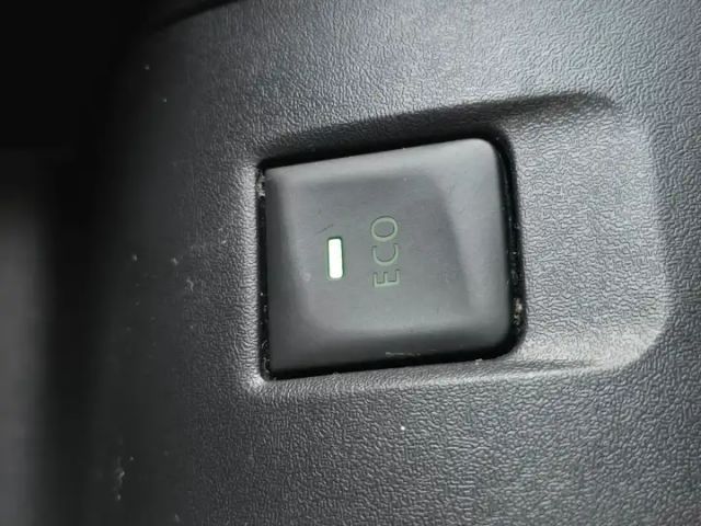 Renault Kangoo Blue Limited